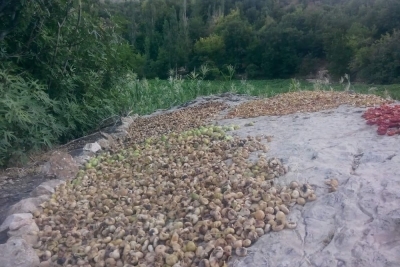 İncekoz Mezrası İlkokulu Fotoğrafları 4