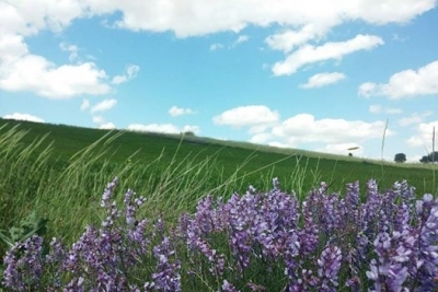 Altındağ Kavaklı İlkokulu Fotoğrafları 2