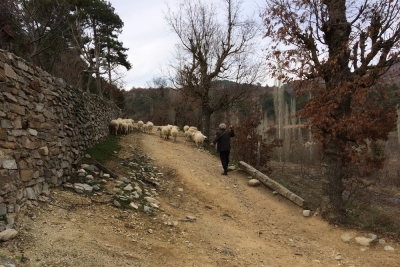 Kuyucak Taşoluk İlkokulu Fotoğrafları 1