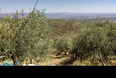 Ortaoba Eşref Kaya İlkokulu Fotoğrafları 1