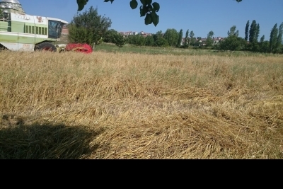 Savaştepe Anadolu İmam Hatip Lisesi Fotoğrafları 1