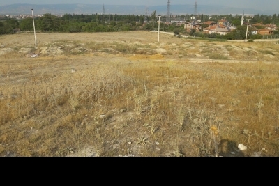 Sarayköy Anadolu İmam Hatip Lisesi Fotoğrafları 4