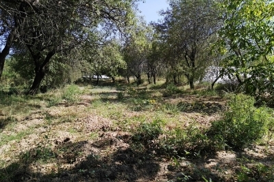 Yorga Hacı Fatma Topalan Ortaokulu Fotoğrafları 1